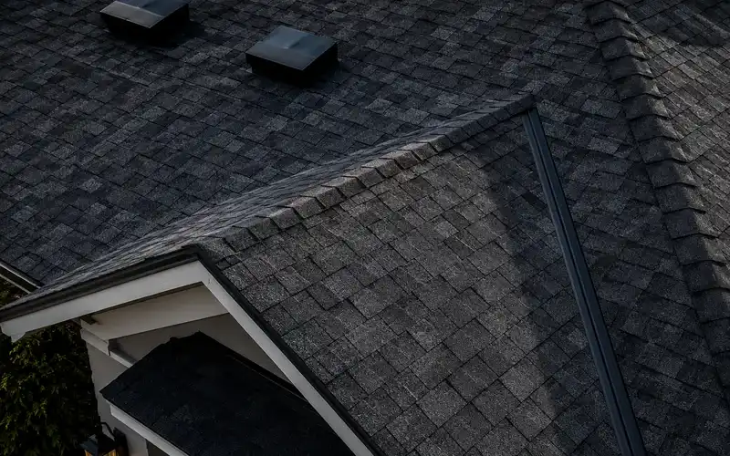 Close-up roof documentation showing box vents, shingle texture, roof edge, and exterior lighting